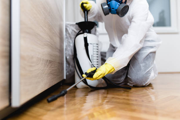 Best Commercial Pest Control Services  in Savannah, MO