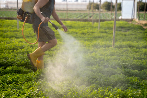 Best Ant Control Services  in Savannah, MO