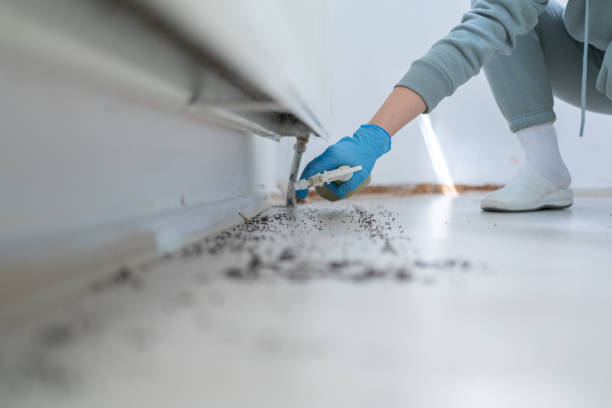 Best Affordable Pest Control Services  in Savannah, MO